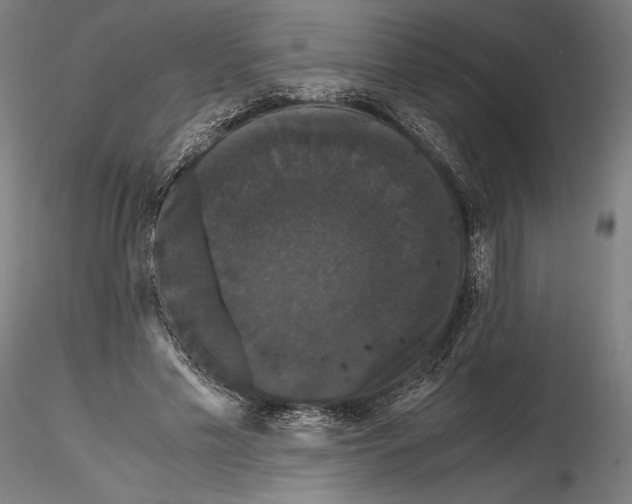 X0000114620589200912011003