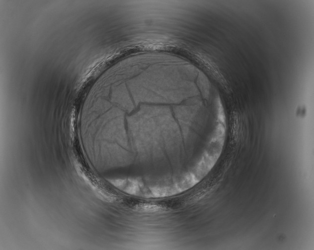 X0000114620590200912011003