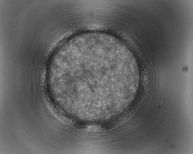 X0000114620591200912011003