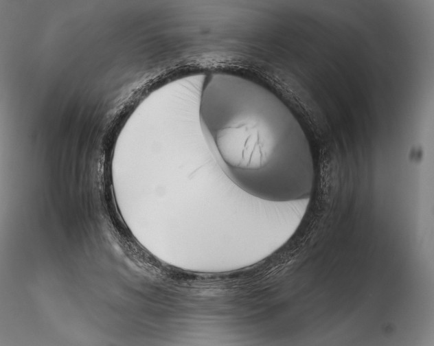 X0000114620592200912011003