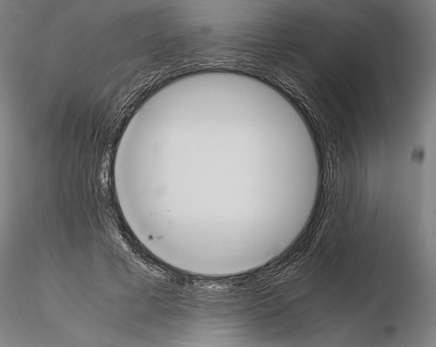 X0000114620593200912011003