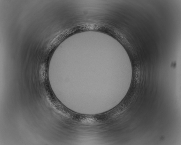 X0000114620594200912011003