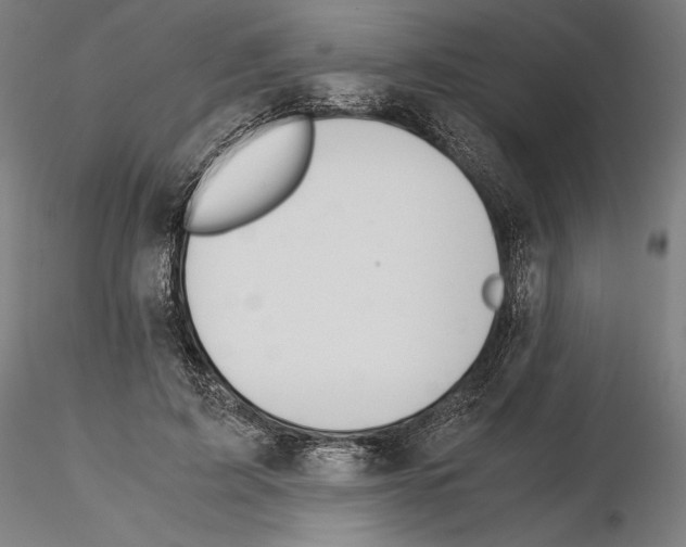 X0000114620595200912011003