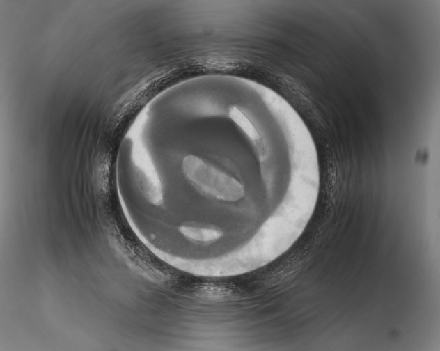 X0000114620596200912011003