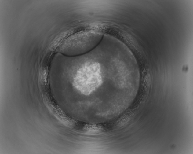 X0000114620597200912011003