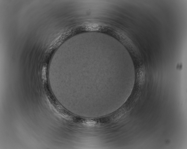 X0000114620598200912011003