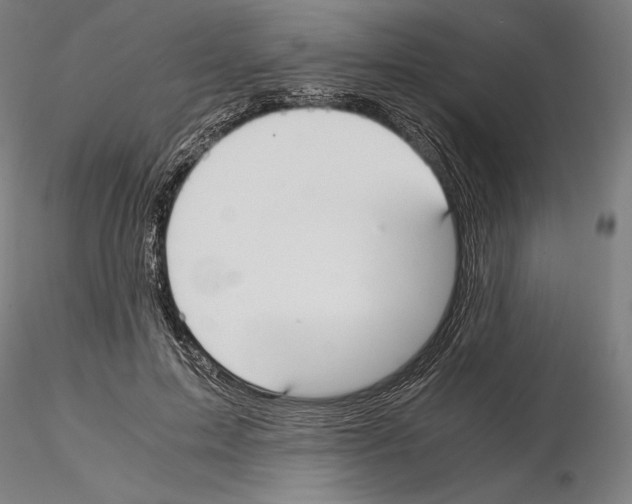 X0000114620599200912011003