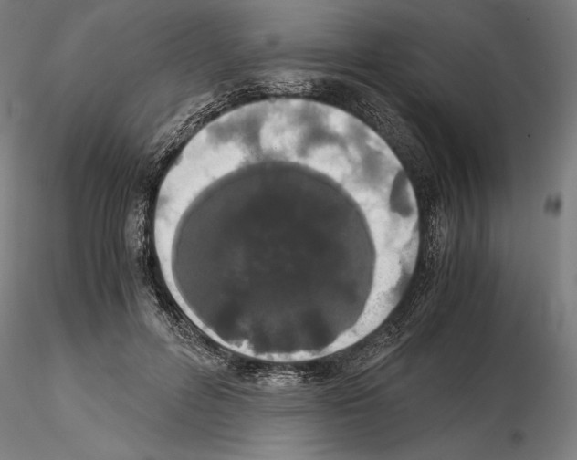 X0000114620600200912011003