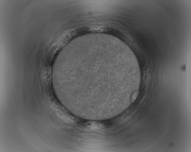 X0000114620601200912011003