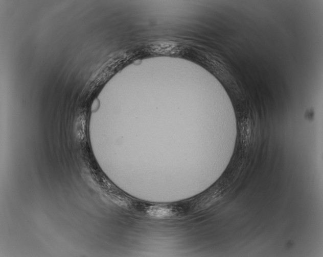 X0000114620602200912011003