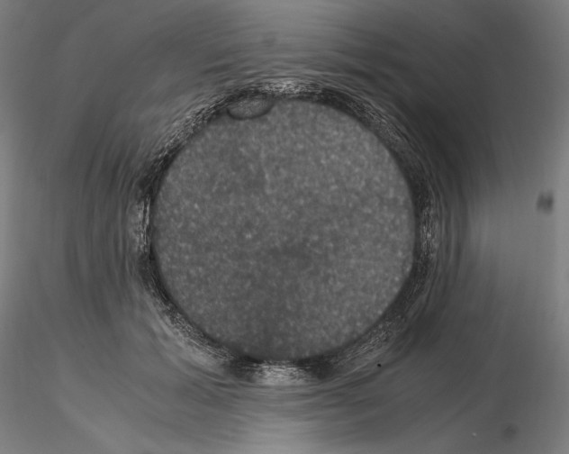 X0000114620605200912011003