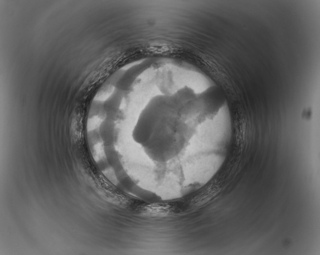 X0000114620606200912011003