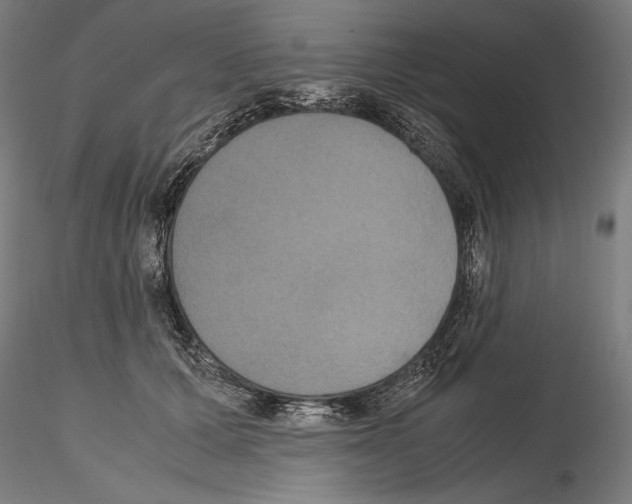 X0000114620607200912011003