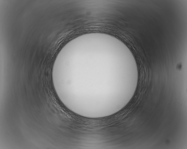 X0000114620609200912011003