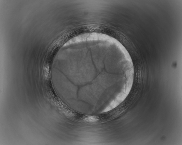 X0000114620610200912011003