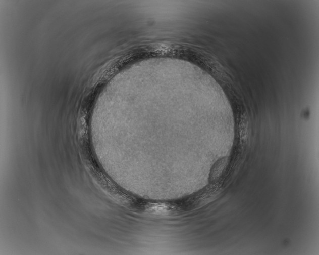 X0000114620611200912011003