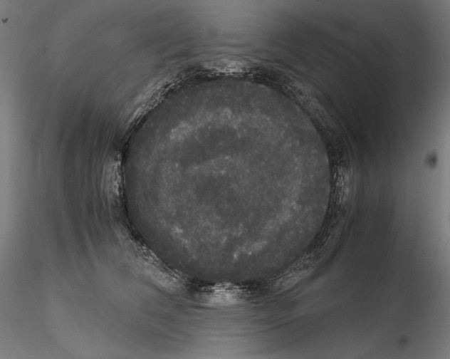 X0000114620612200912011003