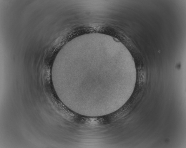 X0000114620613200912011003