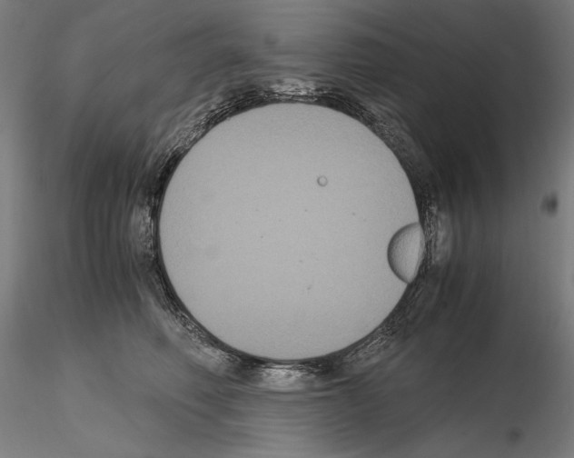 X0000114620614200912011003