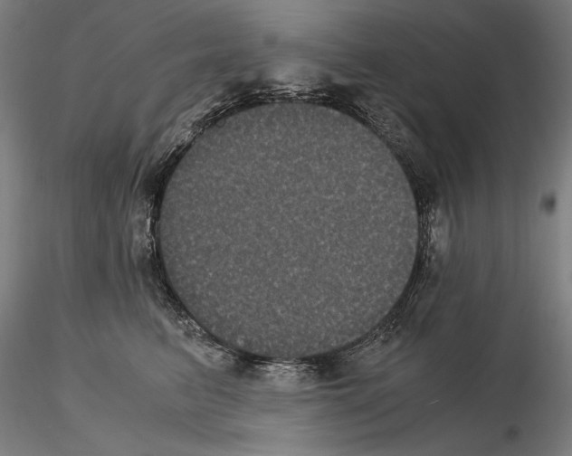 X0000114620615200912011002