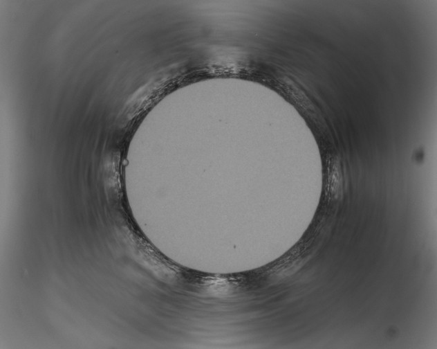 X0000114620616200912011002