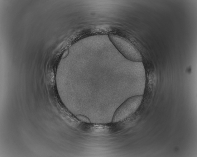 X0000114620617200912011002