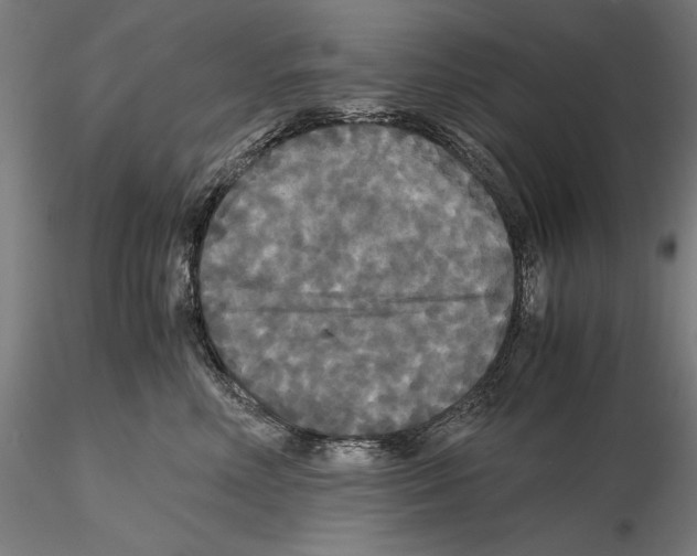 X0000114620618200912011002