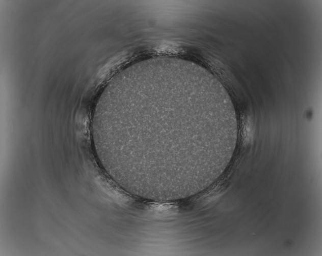 X0000114620619200912011002