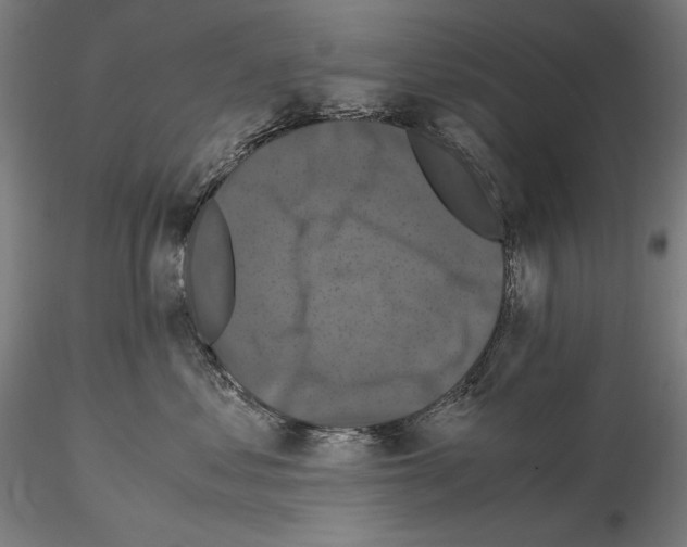 X0000114620621200912011002