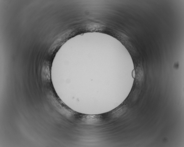 X0000114620622200912011002