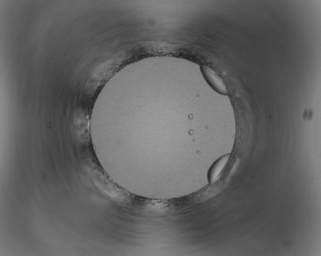 X0000114620624200912011002