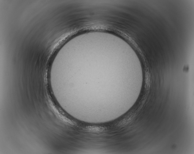 X0000114620629200912011002