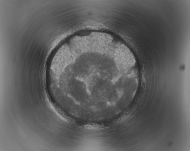 X0000114620630200912011002