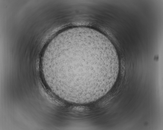 X0000114620631200912011002