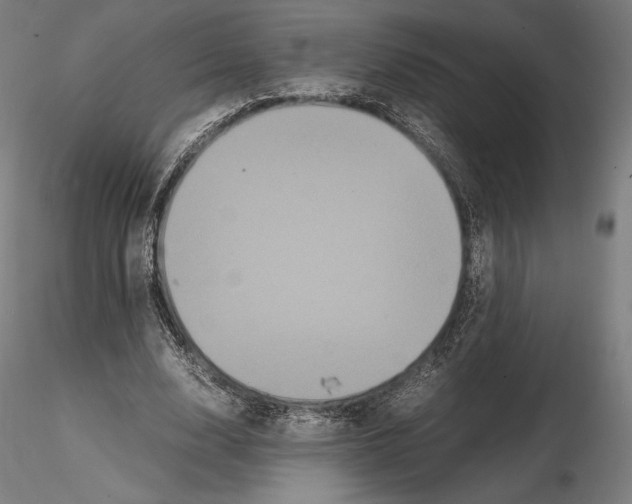 X0000114620632200912011002