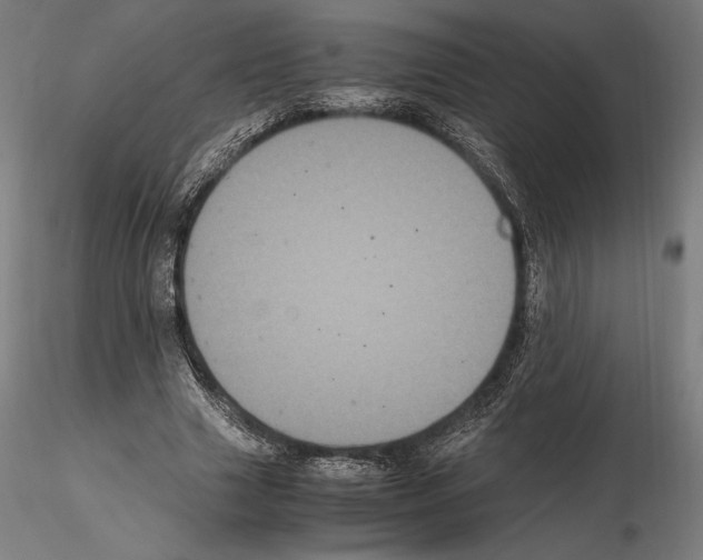 X0000114620633200912011002