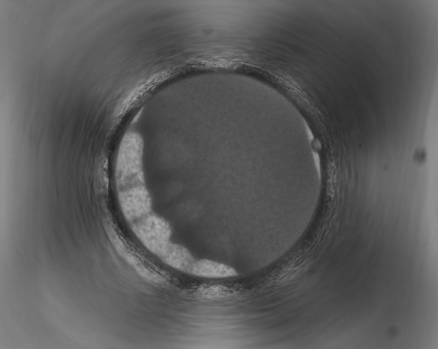 X0000114620634200912011002