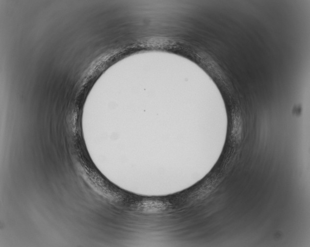 X0000114620636200912011002