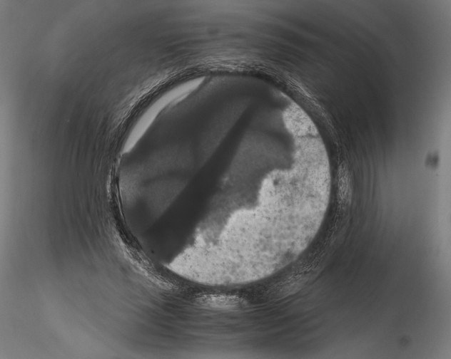 X0000114620637200912011002