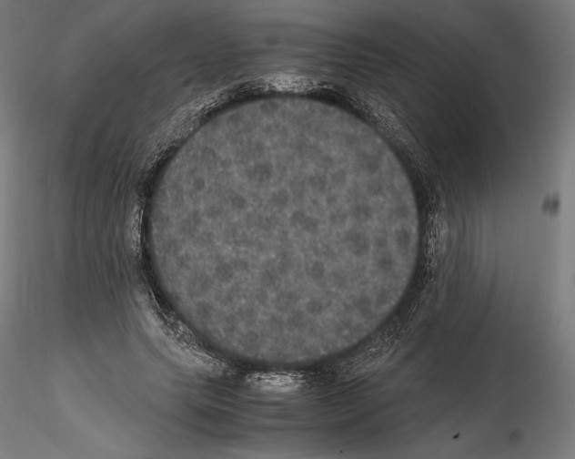 X0000114620639200912011002