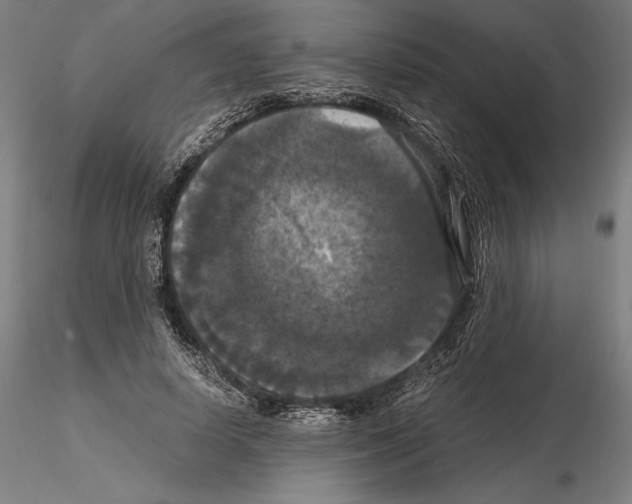 X0000114620642200912011002