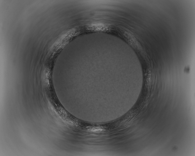 X0000114620643200912011002