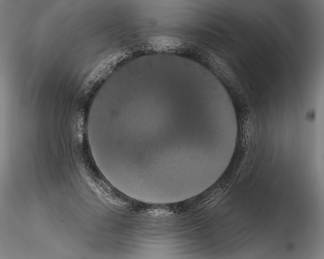 X0000114620644200912011002