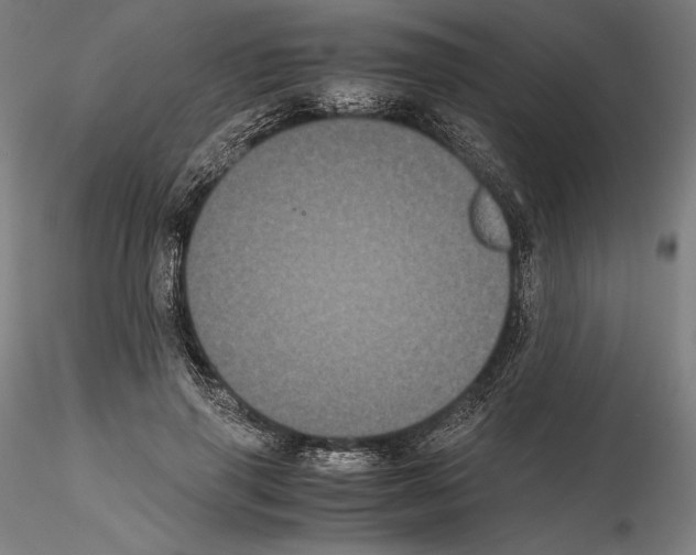 X0000114620645200912011002