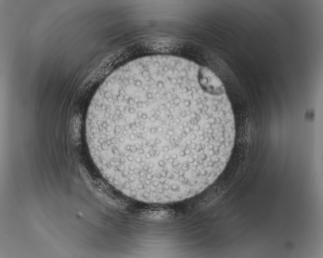 X0000114620646200912011002