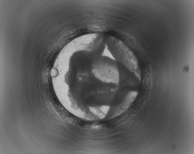 X0000114620647200912011002