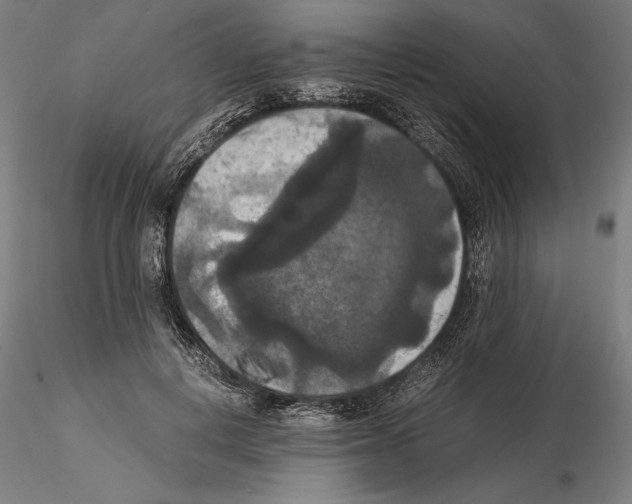 X0000114620648200912011002