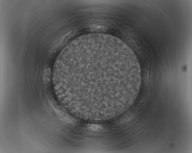 X0000114620649200912011002