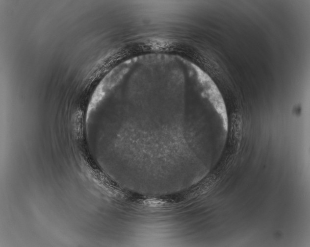 X0000114620650200912011002