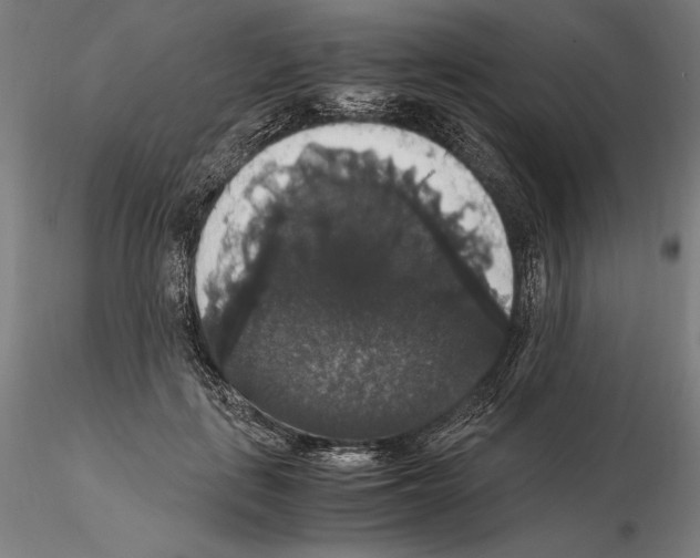 X0000114620651200912011002